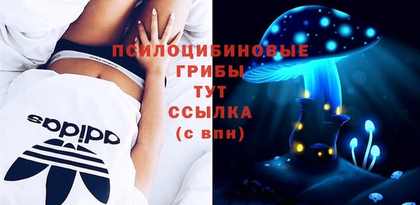 apvp Нязепетровск