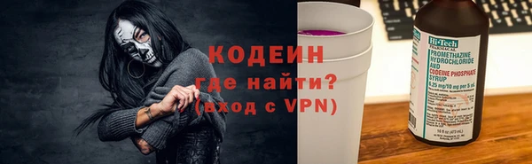 дурь Няндома
