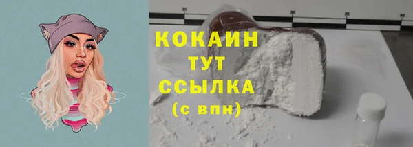 дурь Няндома