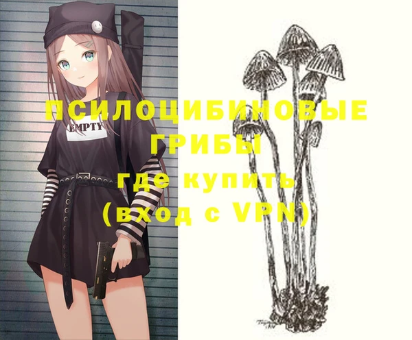 apvp Нязепетровск