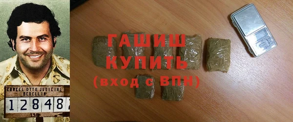 дурь Няндома