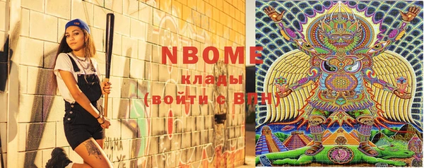 дурь Няндома
