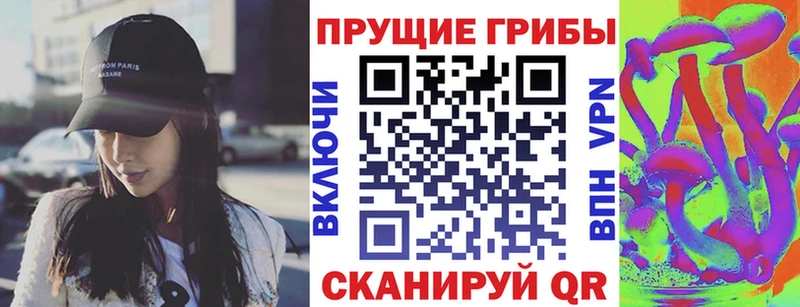 где можно купить   Уфа  Галлюциногенные грибы GOLDEN TEACHER 