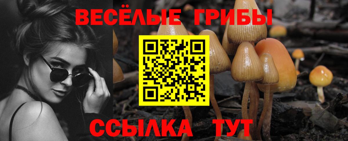 Галлюциногенные грибы Psilocybe Уфа